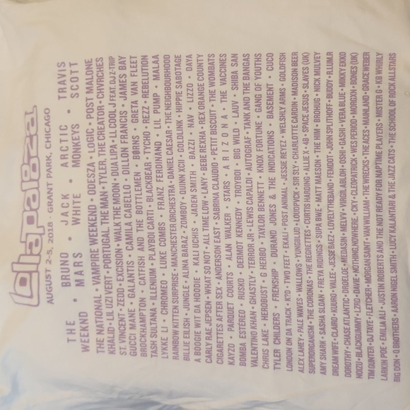 Lollapalooza 2018 White and Purple Dinosaur Festival Shirt size M - Picture 3 of 3